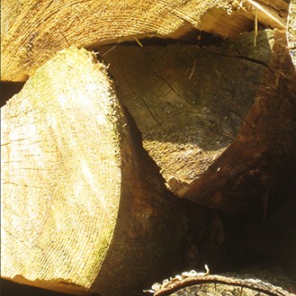 Arbeiten mit Holz Arbeiten mit Holz