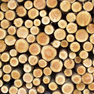 Holz Holz